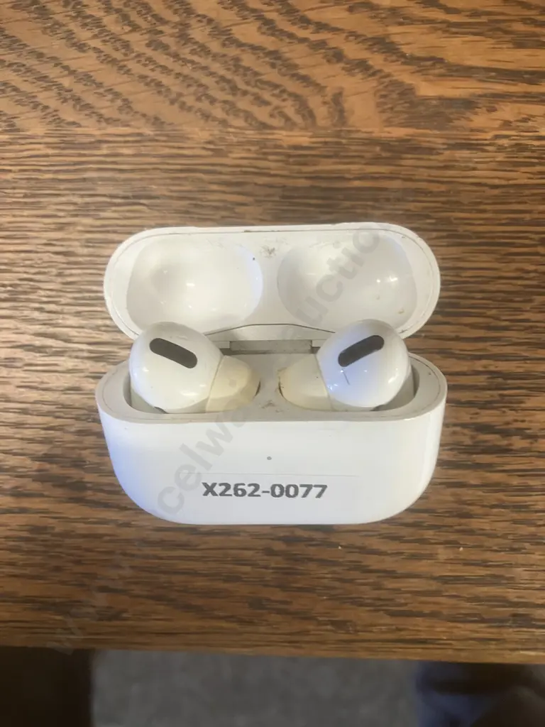 Apple AirPods Pro (1st Gen) with MagSafe Charging Case Image 1++