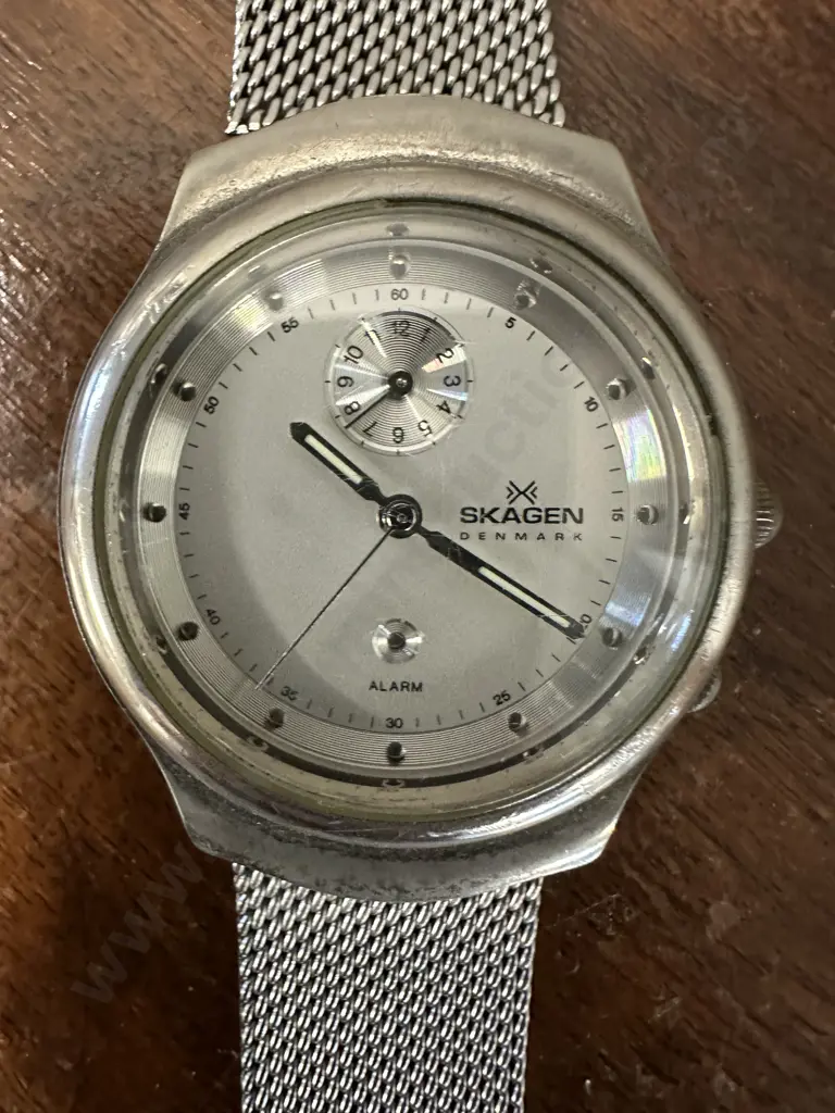 Skagen Denmark Watch  Image 1++