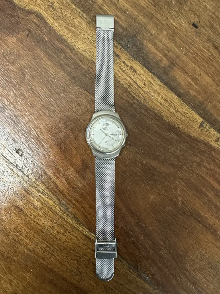 Skagen Denmark Watch  Image 1++