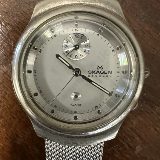 Skagen Denmark Watch 