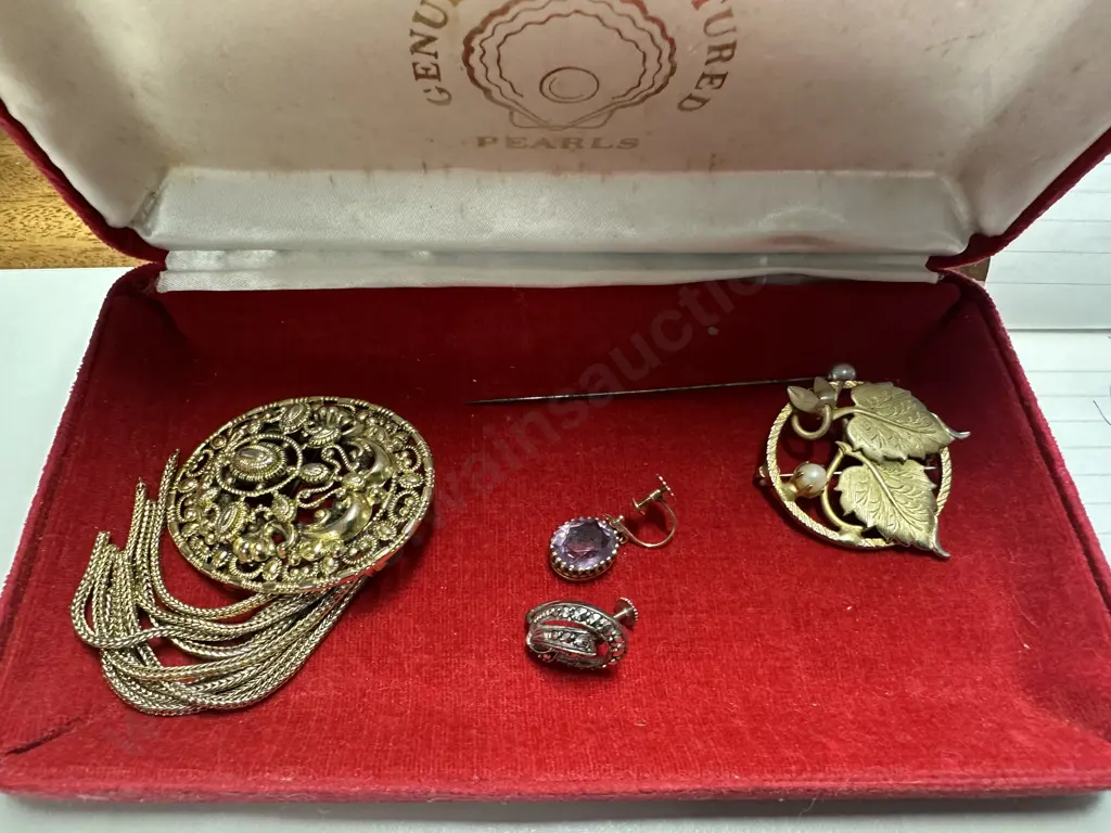 Assorted Vintage Costume Jewellery & Hat Pin Image 1++