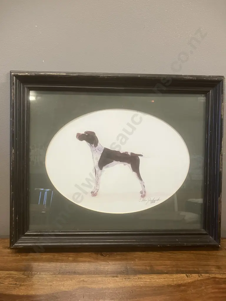 Vintage '99 Signed Serigraph / Graphic Print C. Alan Jachinski 'Shorthair Pointer' Framed. 34 x 41.5cm Image 1++