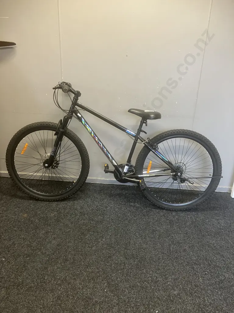 Everest Disc 29XCR Mountain Bike -  Black & Silver Image 1++