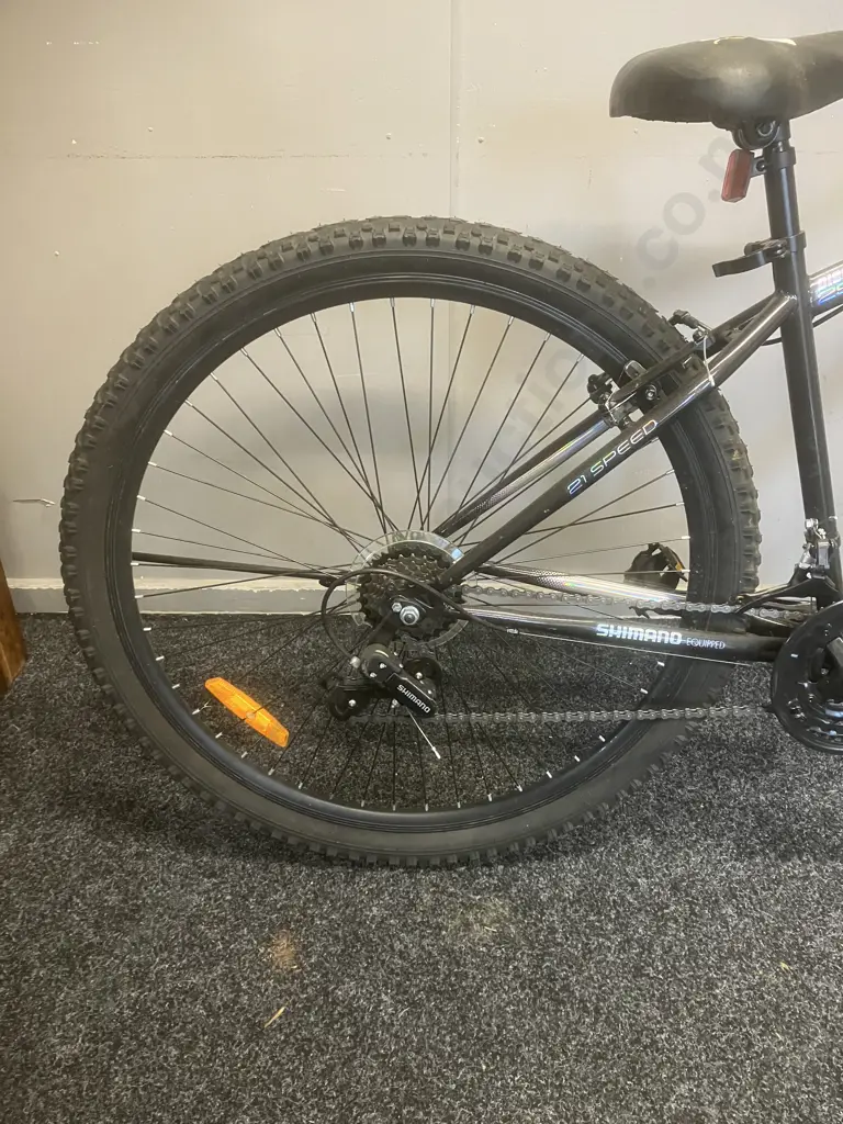 Everest Disc 29XCR Mountain Bike -  Black & Silver Image 1++