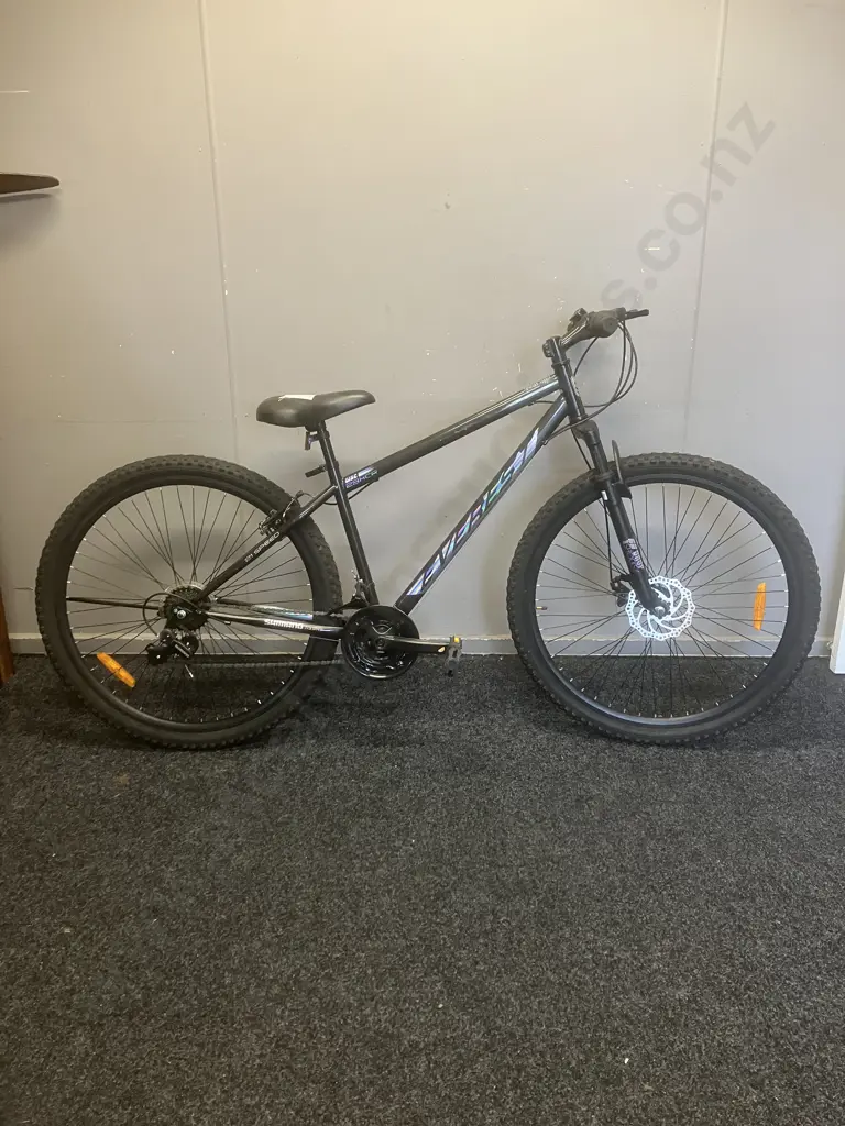 Everest Disc 29XCR Mountain Bike -  Black & Silver Image 1++