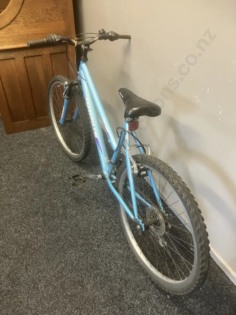 Radius Free Spirit Step Through Bike - Blue & Purple Image 1++