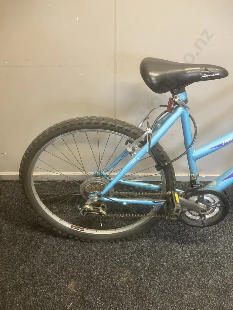Radius Free Spirit Step Through Bike - Blue & Purple Image 1++