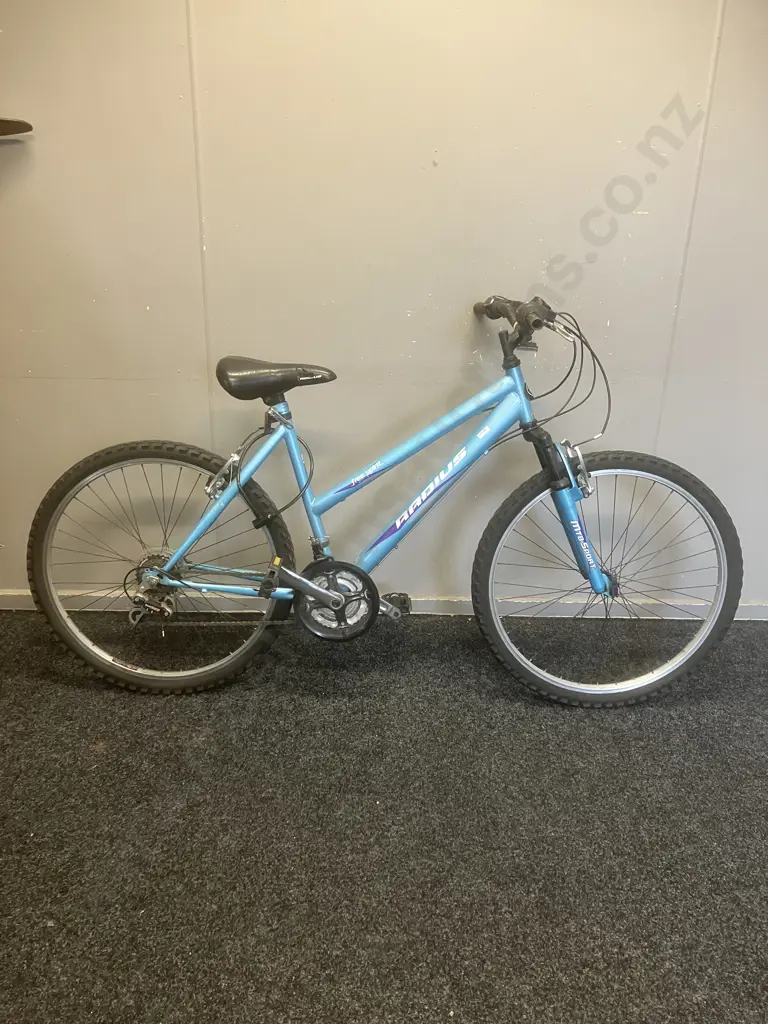 Radius Free Spirit Step Through Bike - Blue & Purple Image 1++