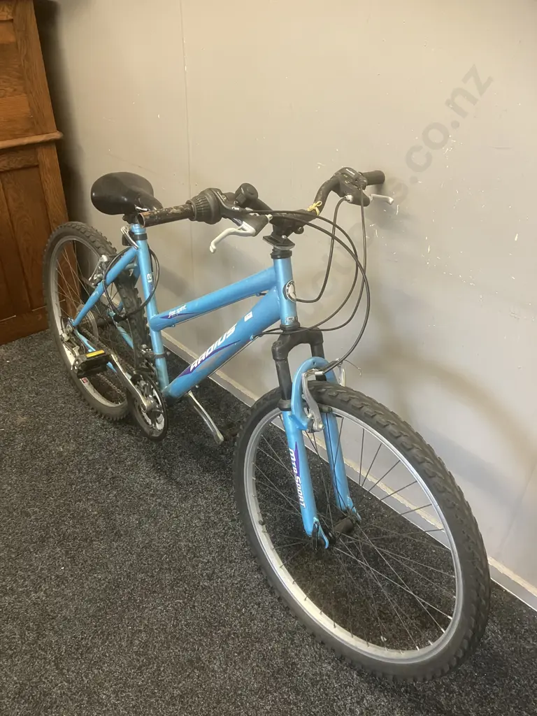 Radius Free Spirit Step Through Bike - Blue & Purple Image 1++