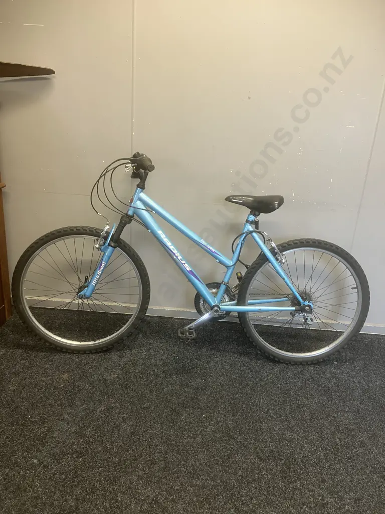 Radius Free Spirit Step Through Bike - Blue & Purple Image 1++