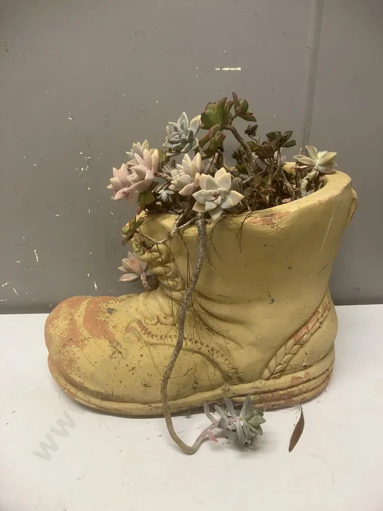 Terracotta Boot Planter With Succulent. 29 x 35cm Image 1++