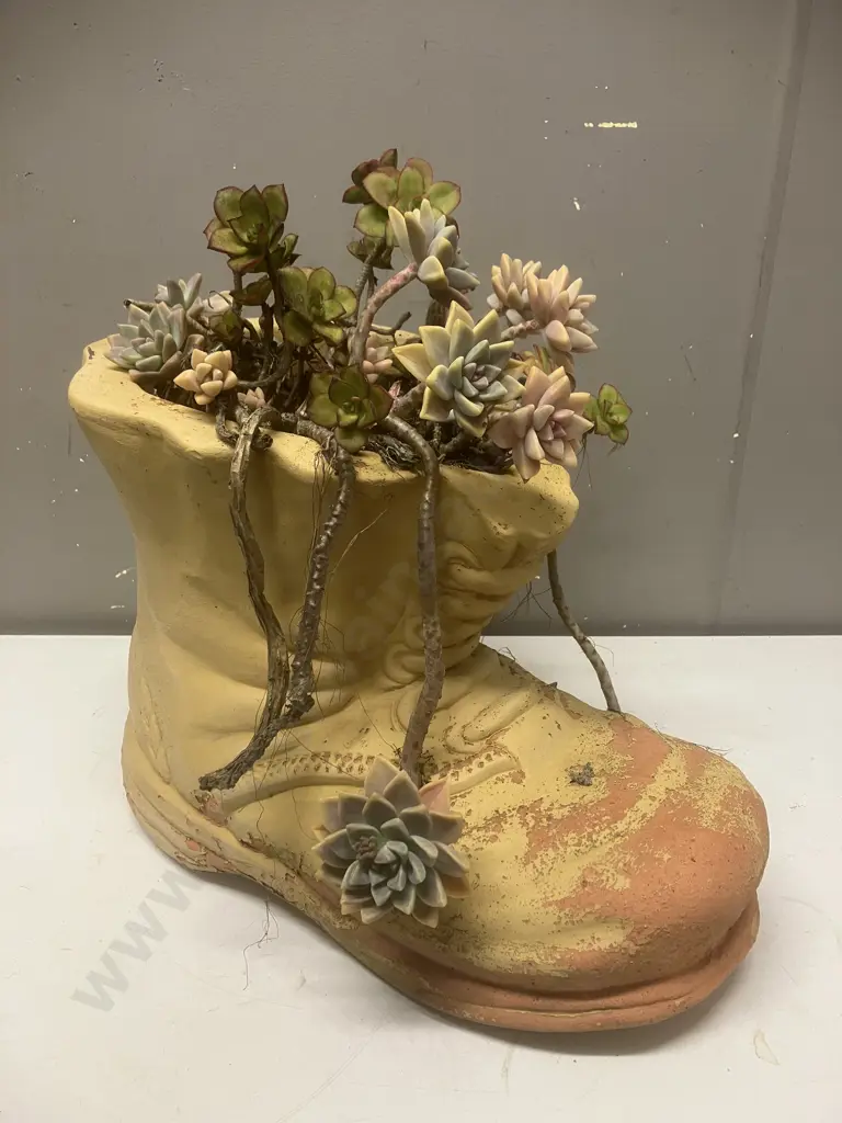 Terracotta Boot Planter With Succulent. 29 x 35cm Image 1++