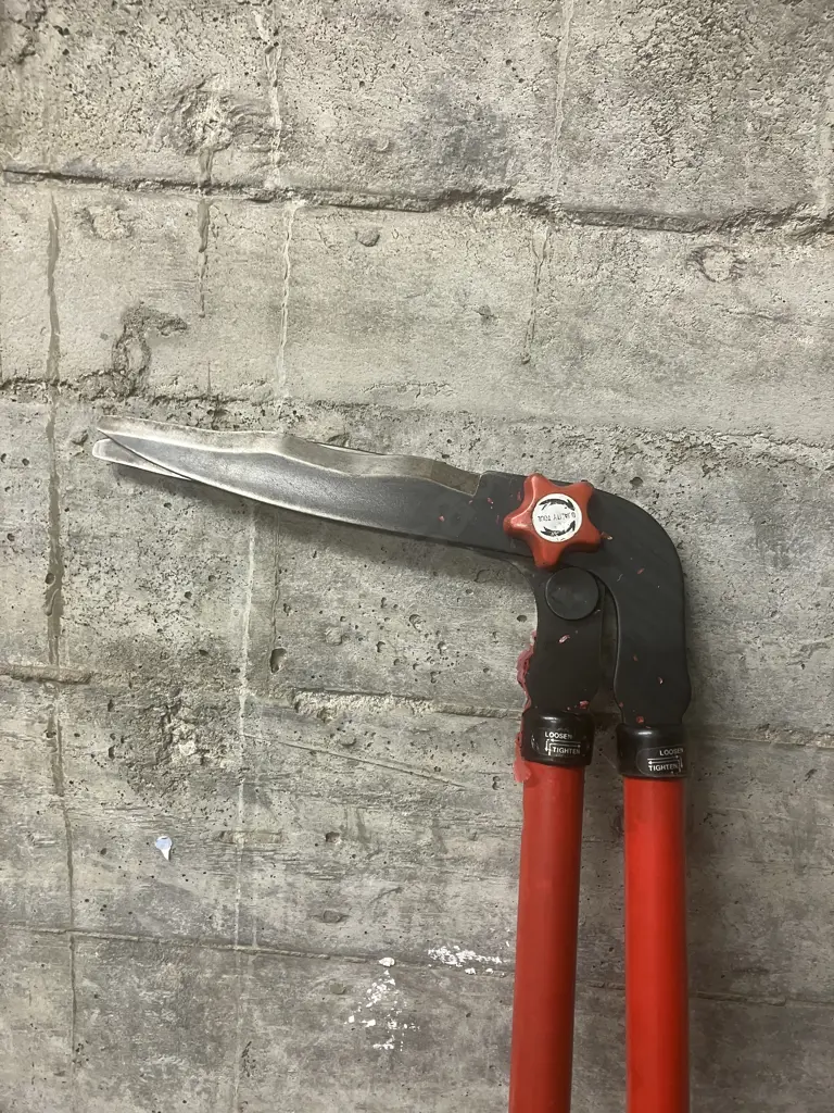 Eden Heavy Duty Steel Pole Pruner & pair of 188cm Loppers Image 1++