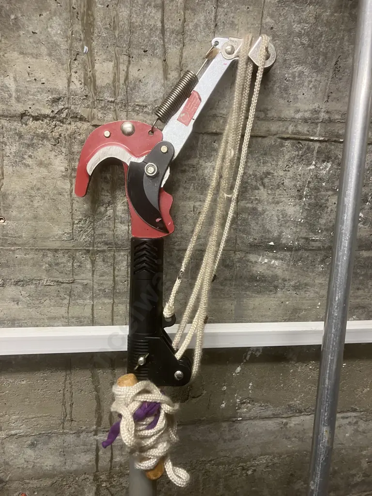 Eden Heavy Duty Steel Pole Pruner & pair of 188cm Loppers Image 1++