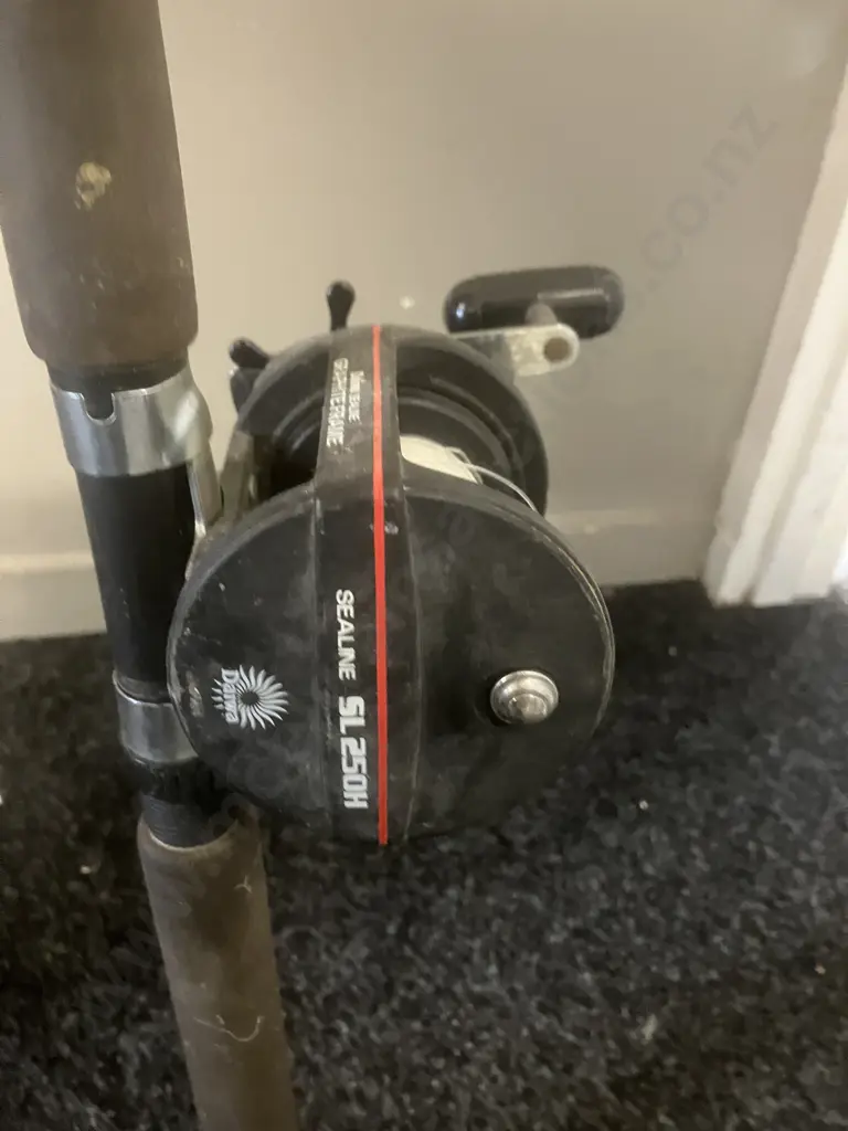 Daiwa Comp. Plus Apollo 470HD 1.68 10Kg Rod With Daiwa Sealine SL250H Graphite Frame Reel Image 1++
