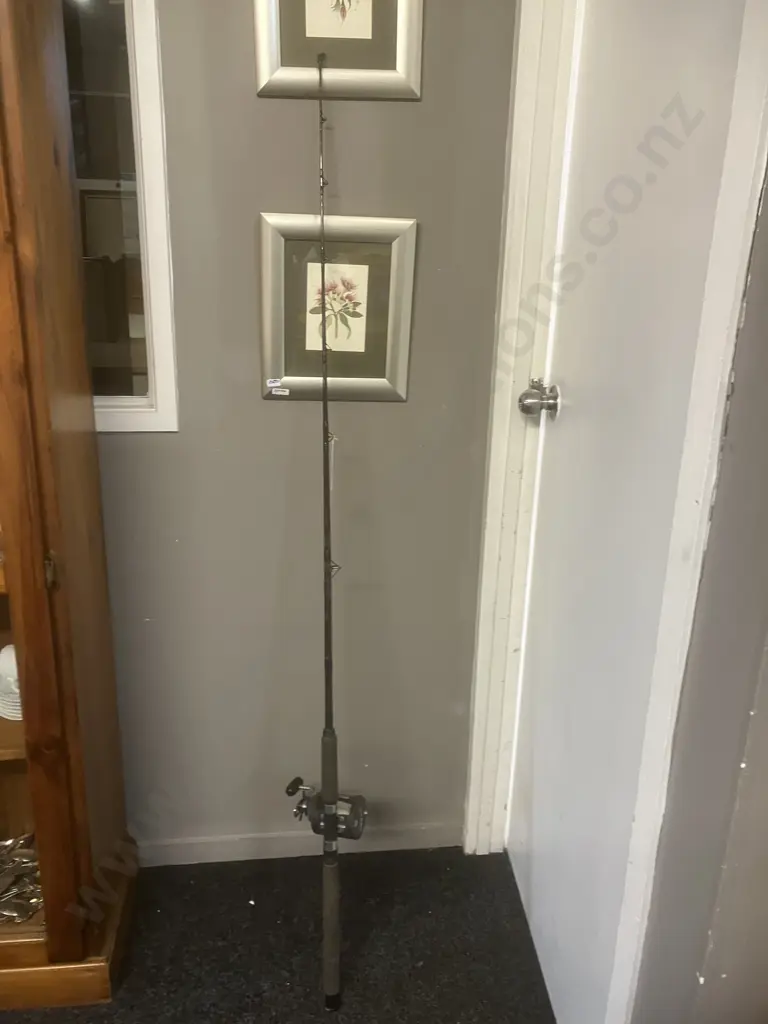 Daiwa Comp. Plus Apollo 470HD 1.68 10Kg Rod With Daiwa Sealine SL250H Graphite Frame Reel Image 1++