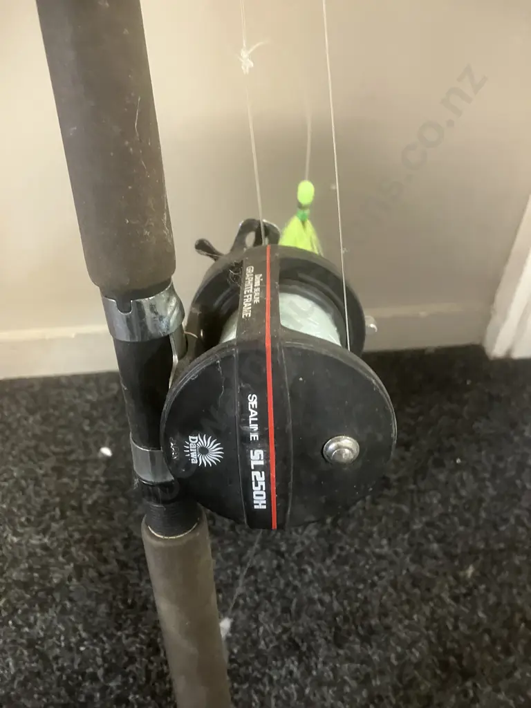 Daiwa Comp. Plus Apollo 470HD 1.68 10Kg Rod With Daiwa Sealine SL250H Graphite Frame Reel Image 1++