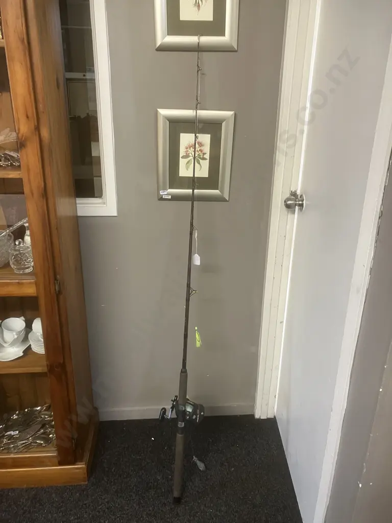 Daiwa Comp. Plus Apollo 470HD 1.68 10Kg Rod With Daiwa Sealine SL250H Graphite Frame Reel Image 1++