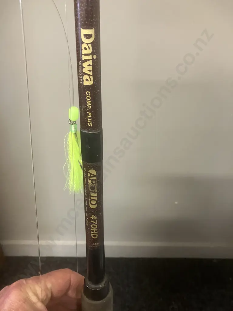 Daiwa Comp. Plus Apollo 470HD 1.68 10Kg Rod With Daiwa Sealine SL250H Graphite Frame Reel Image 1++