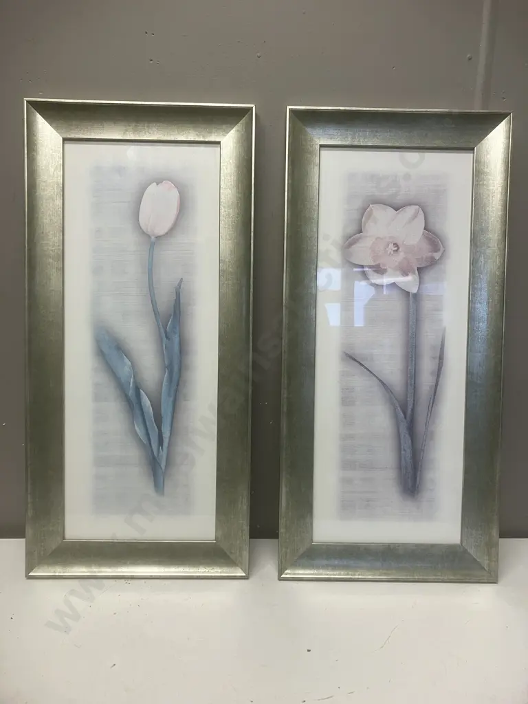 Pair of Modern Flower Prints - Framed. 58 x 28cm Image 1++