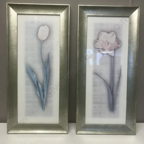 Pair of Modern Flower Prints - Framed. 58 x 28cm