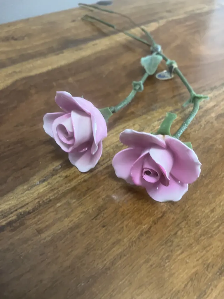 Pair of Aynsley England Pink Rose Stems Image 1++