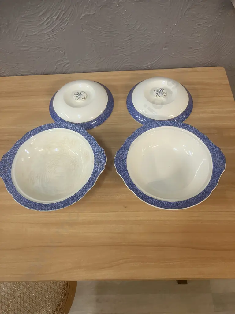 Pair of J & G Meakin Florida Blue Sol 391413 Lidded Tureen Dishes (AF) Image 1++