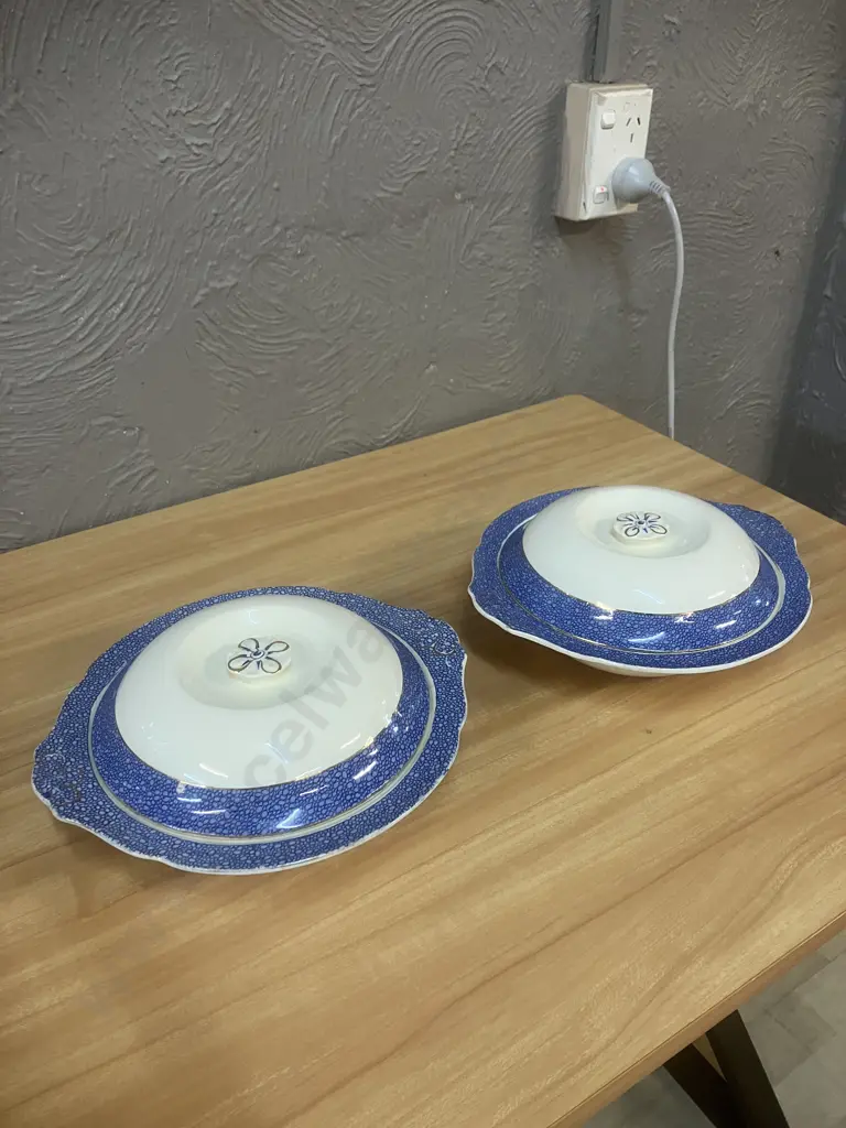 Pair of J & G Meakin Florida Blue Sol 391413 Lidded Tureen Dishes (AF) Image 1++