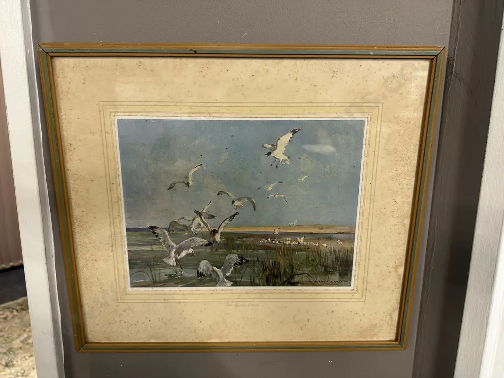 Vintage Framed Vernon Ward Print  "The Feeding Ground" 35x40cm. Image 1++