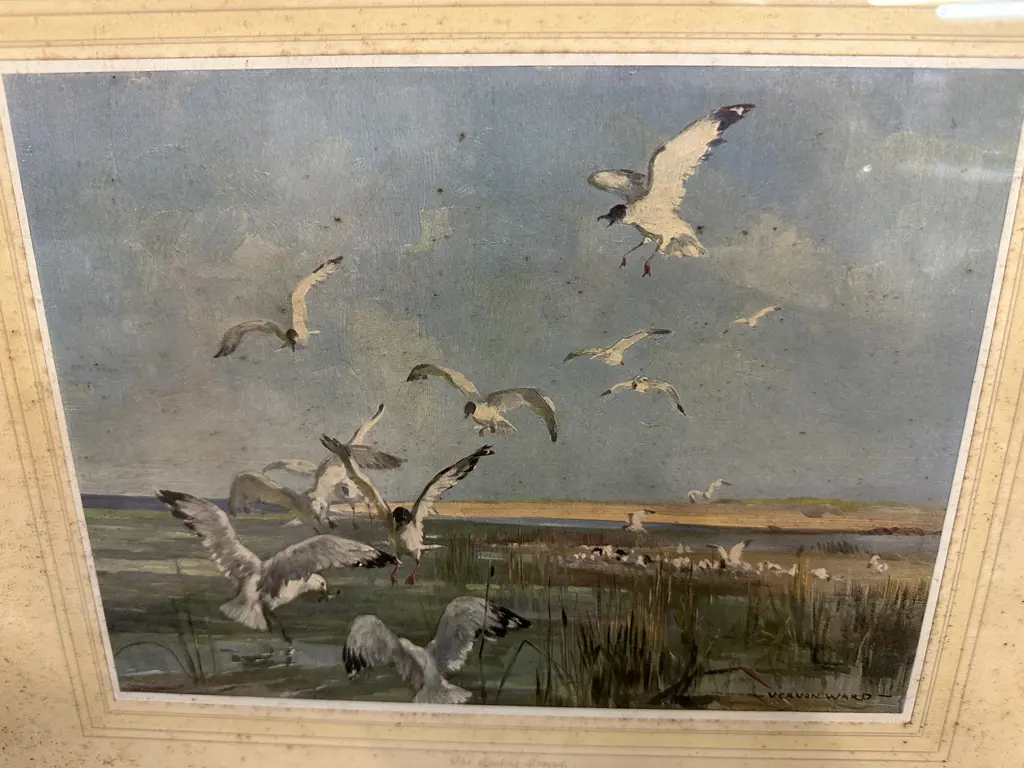 Vintage Framed Vernon Ward Print  "The Feeding Ground" 35x40cm. Image 1++