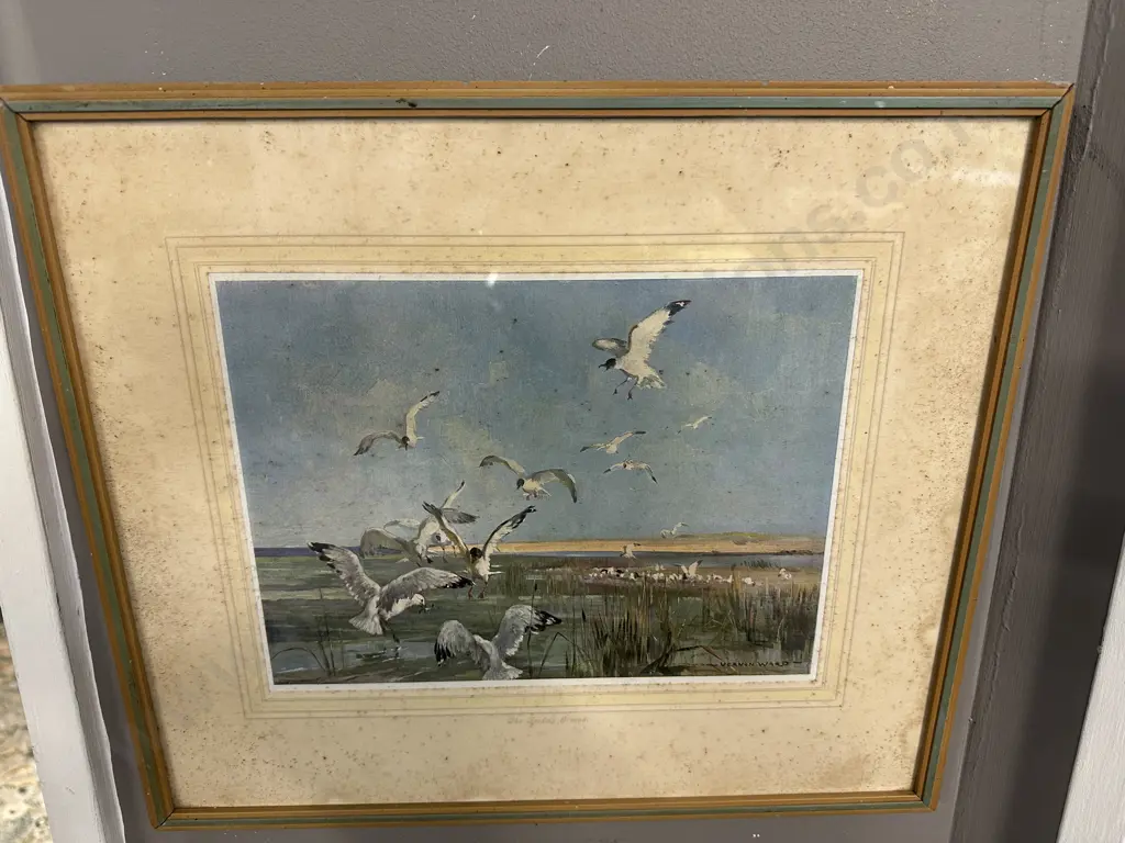 Vintage Framed Vernon Ward Print  "The Feeding Ground" 35x40cm. Image 1++