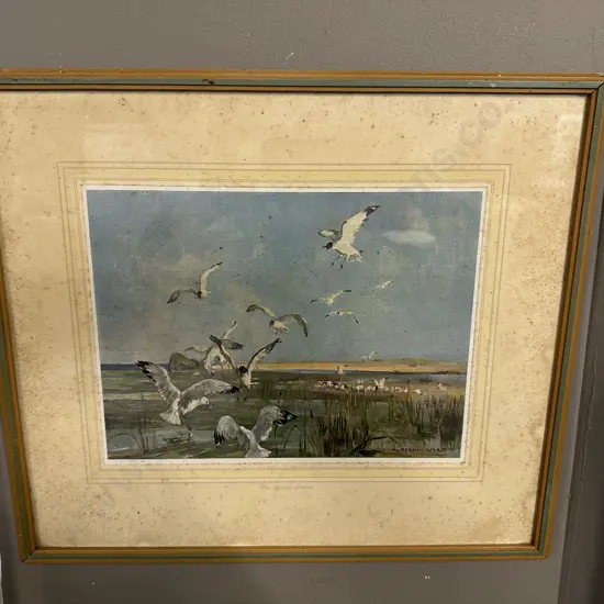 Vintage Framed Vernon Ward Print  "The Feeding Ground" 35x40cm.