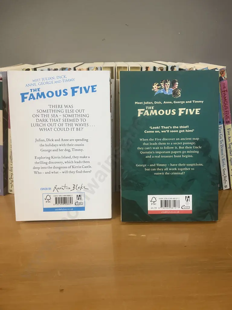 The Famous Five Series by Enid Blyton (Missing Book 20) Image 1++