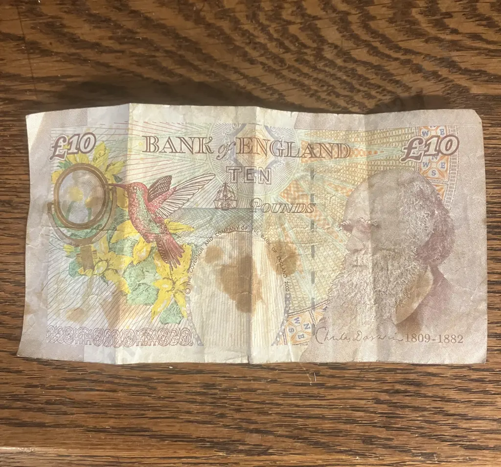 Great Britain Banknote £10 Pounds - Elizabeth II, Charles Darwin DD12968809 Image 1++