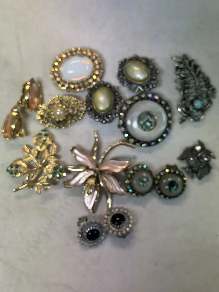 Selection Of Vintage Costume Brooches & Earrings Image 1++