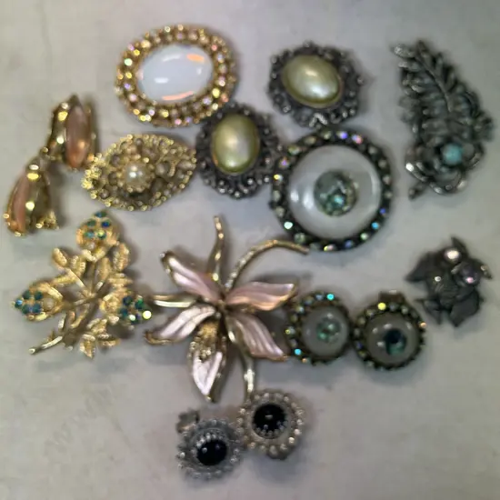 Selection Of Vintage Costume Brooches & Earrings