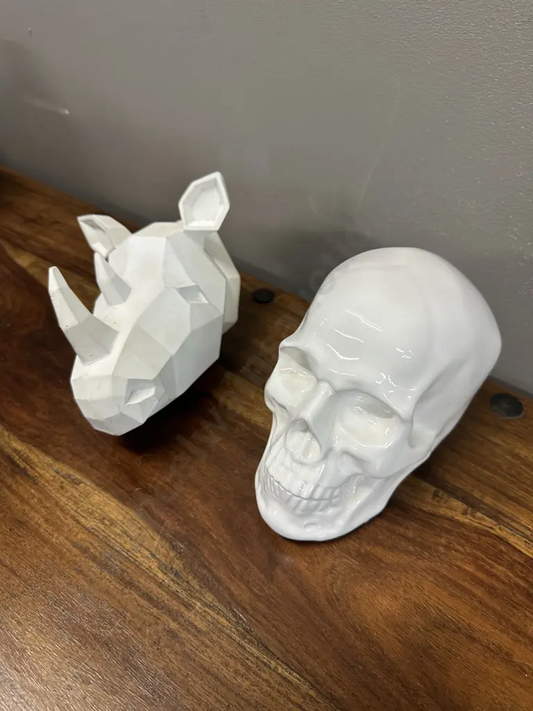 Decorative White Skull & Resin Rhino Wall Art Image 1++