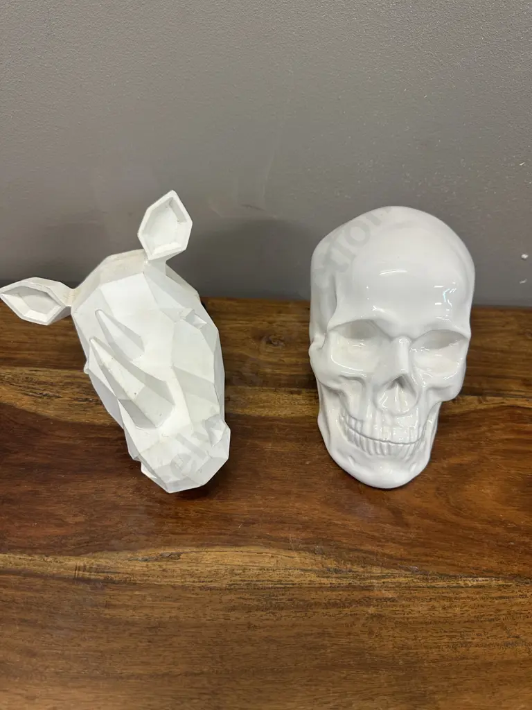 Decorative White Skull & Resin Rhino Wall Art Image 1++