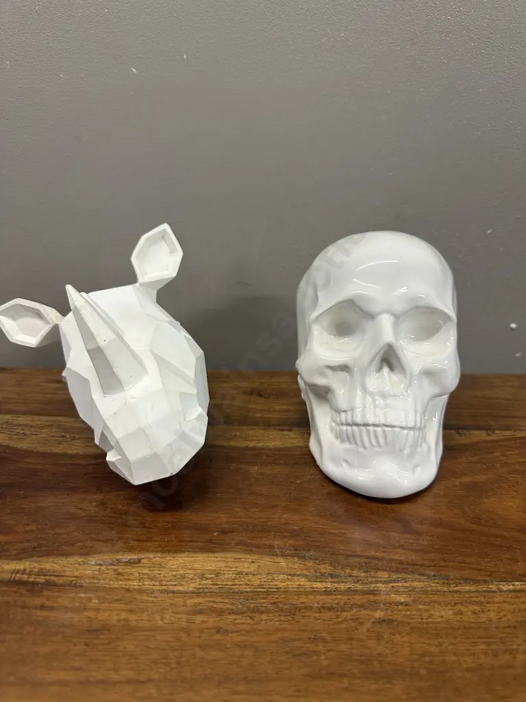 Decorative White Skull & Resin Rhino Wall Art Image 1++