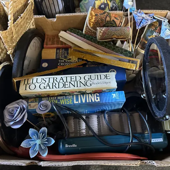 Box Lot Books, Hot Rollers Etc