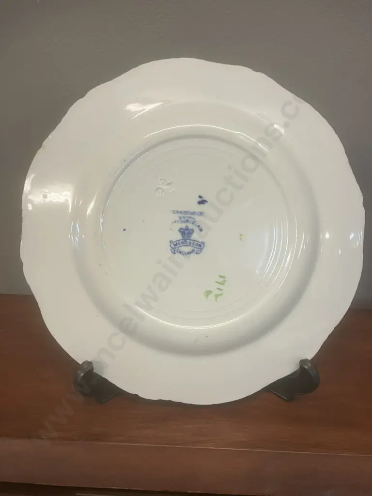 Rare Wood & Son England Royal Semi Porcelain in CAMBRIDGE Pattern Hand Painted Plate c1914 Image 1++