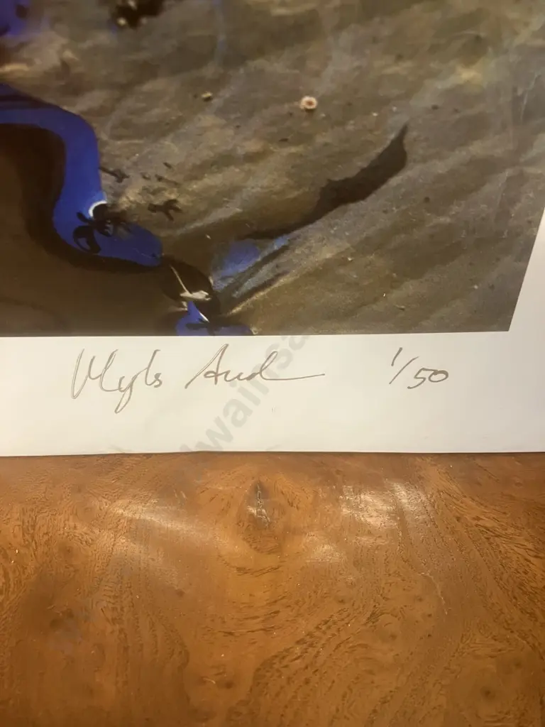 Myles Andrews "Waterlily" Limited Edition Print #1/50 Signed. 46 x 61cm Image 1++