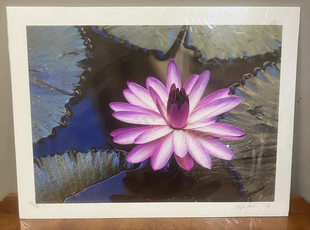Myles Andrews "Waterlily" Limited Edition Print #1/50 Signed. 46 x 61cm Image 1++