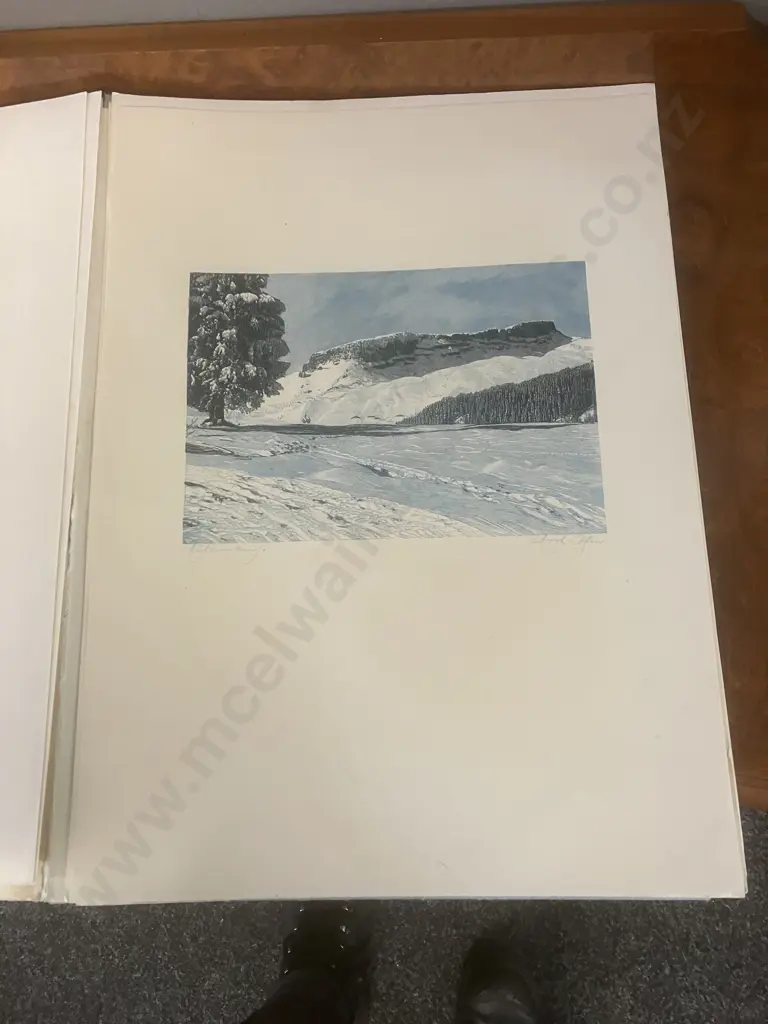 Julius Heilenmann Stuttgart Rare Wood Engraving Portfolio Image 1++