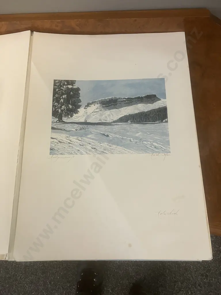 Julius Heilenmann Stuttgart Rare Wood Engraving Portfolio Image 1++