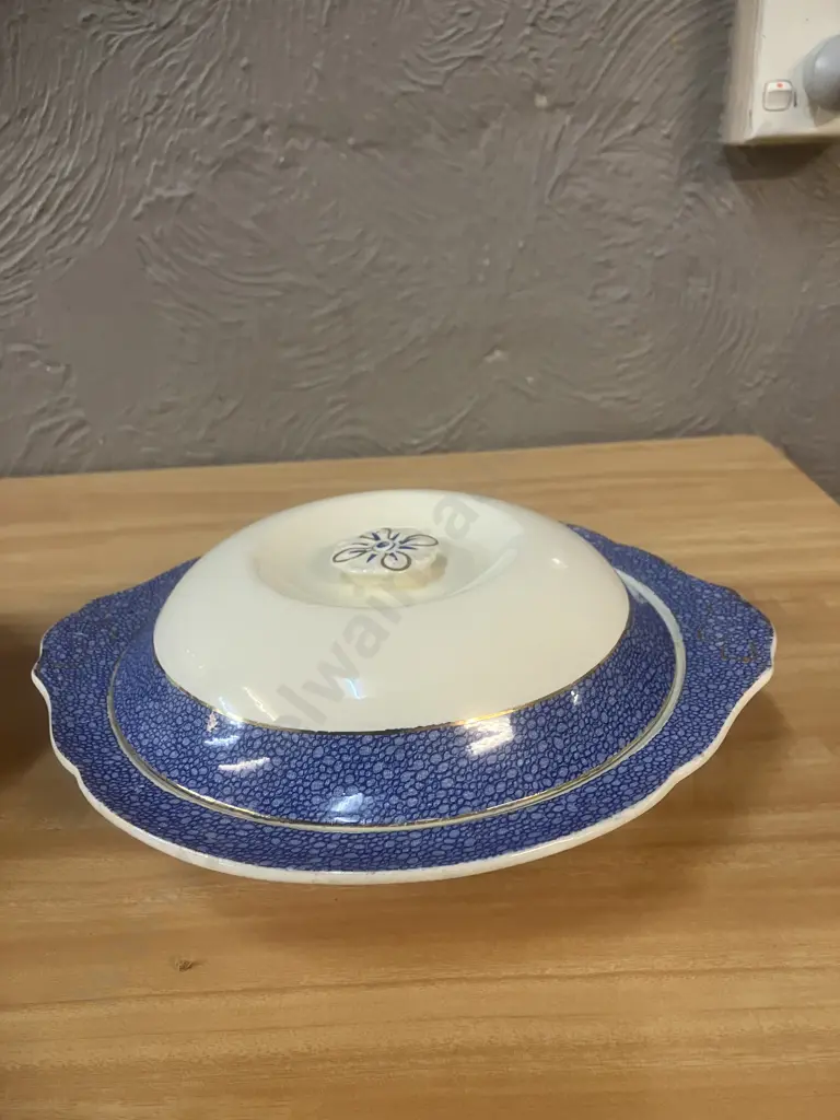 Pair of J & G Meakin Florida Blue Sol 391413 Lidded Tureen Dishes (AF) Image 1++