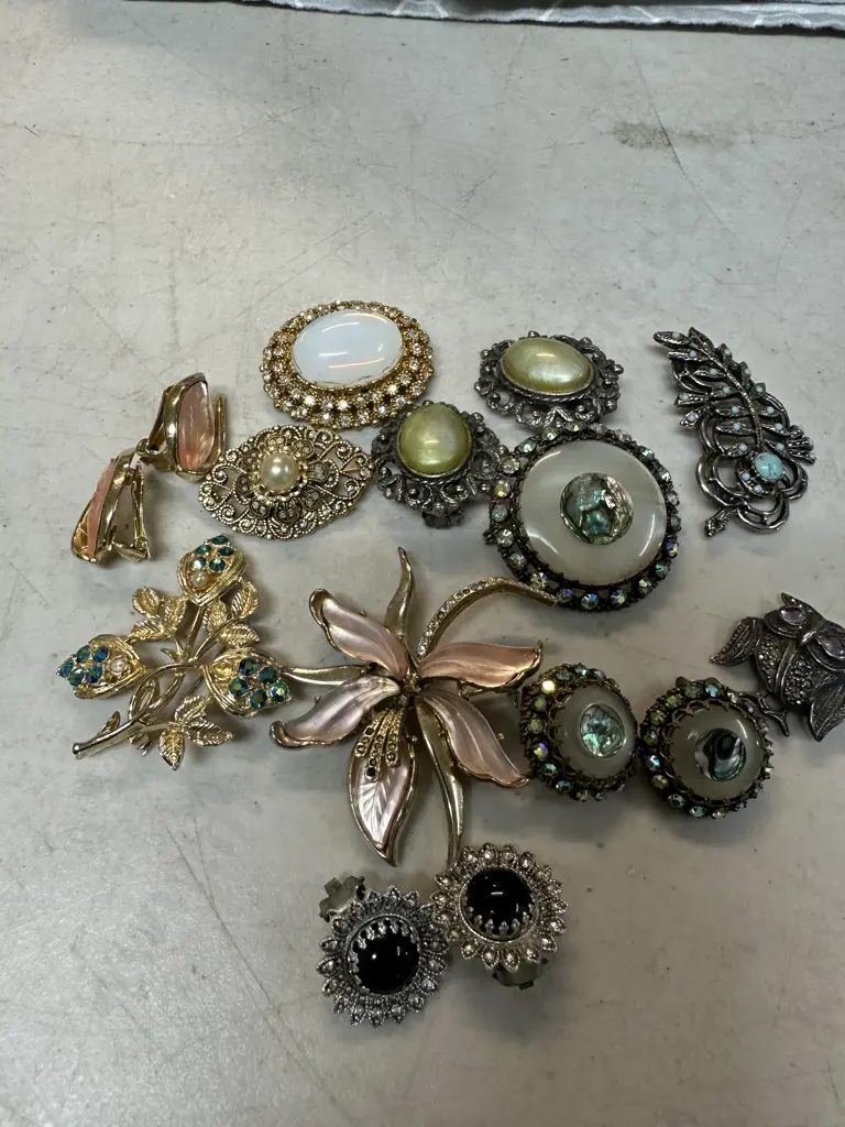 Selection Of Vintage Costume Brooches & Earrings Image 1++