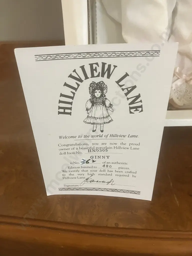 Ginny - Hillview Lane Porcelain Doll, Limited #362 / 480 With COA In Display Box, Original Clothing (45cm) #HN0305 Image 1++
