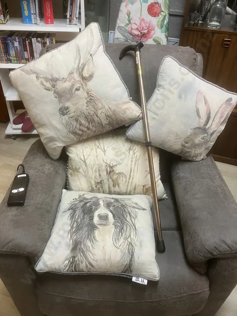 Set of Four Animal Theme Cushions With Adjustable Walking Stick Image 1++