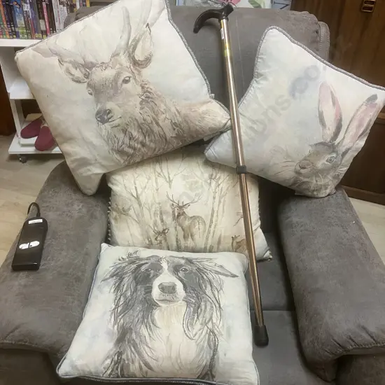 Set of Four Animal Theme Cushions With Adjustable Walking Stick